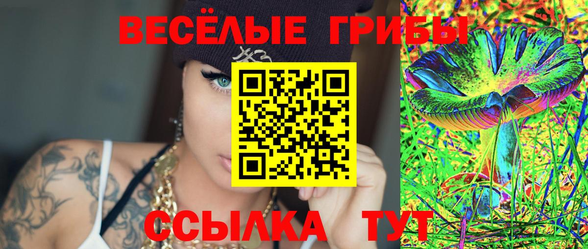 Псилоцибиновые грибы GOLDEN TEACHER Красногорск
